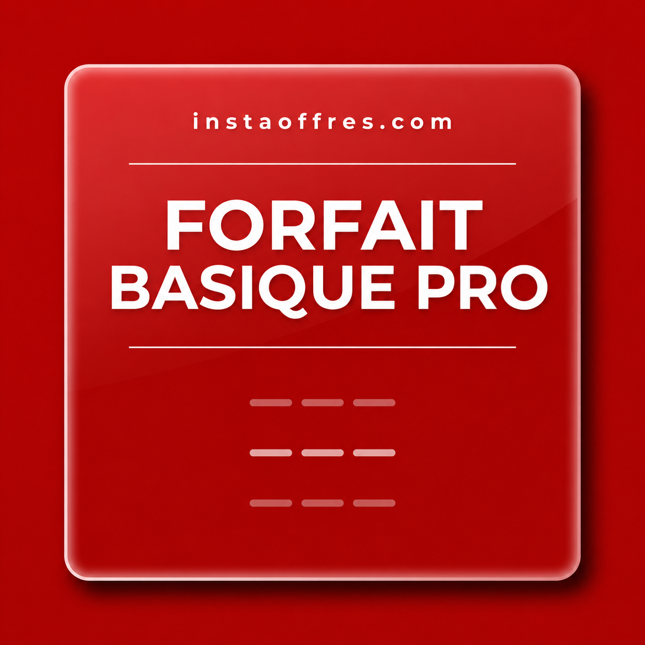 Basique Pro